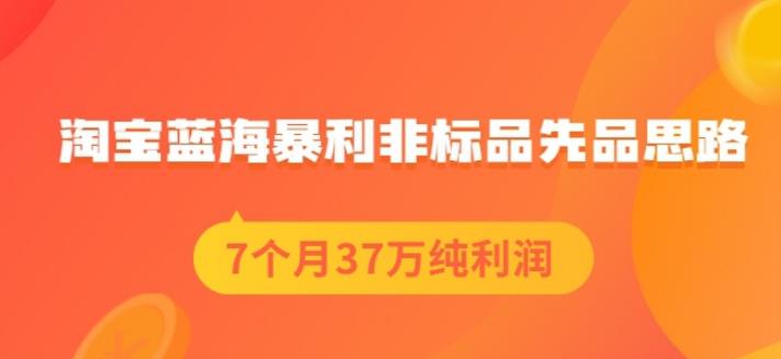 盗坤淘宝蓝海暴利非标品先品思路，7个月37万纯利润，压箱干货分享！【付费文章】-优学网