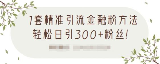 1套精准引流金融粉方法，轻松日引300 粉丝【视频课程】-优学网