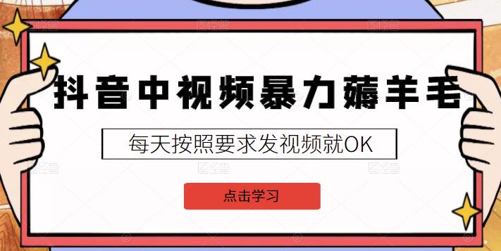 2022抖音中视频暴力薅羊毛白嫖项目：新号每天20块，老号几天几百块，可多号-优学网