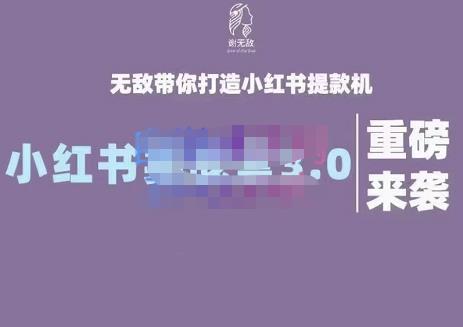 谢无敌·小红书实战营3.0，无敌带你打造小红书提款机 价值7999元-优学网