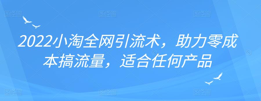 2022年小淘全网引流术，助力零成本搞流量，适合任何产品-优学网