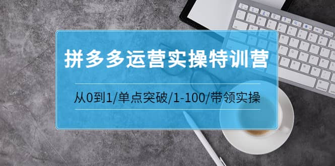 拼多多运营实操特训营：从0到1/单点突破/1-100/带领实操 价值2980元-优学网