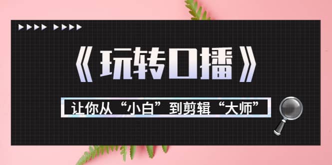 月营业额700万 大佬教您《玩转口播》让你从“小白”到剪辑“大师”-优学网