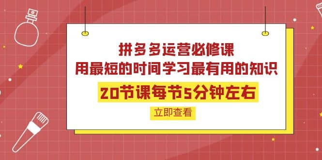 拼多多运营必修课：20节课每节5分钟左右，用最短的时间学习最有用的知识-优学网