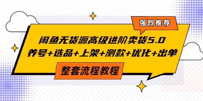 闲鱼无货源高级进阶卖货5.0，养号 选品 上架 测款 优化 出单整套流程教程-优学网