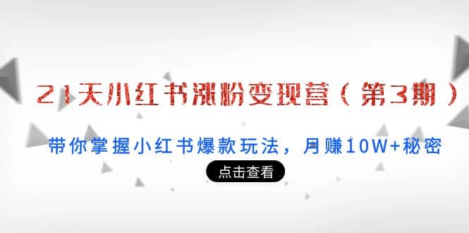 21天小红书涨粉变现营（第3期）：带你掌握小红书爆款玩法，月赚10W 秘密-优学网