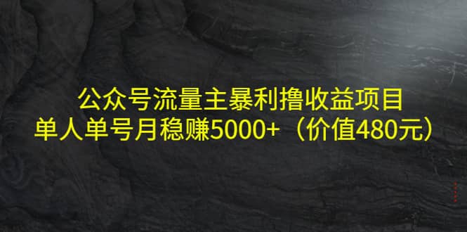 公众号流量主暴利撸收益项目，单人单号月稳赚5000 （价值480元）-优学网