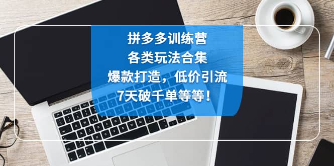 拼多多训练营：各玩法合集，爆款打造，低价引流，7天破千单等等-优学网