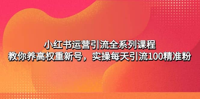 小红书运营引流全系列课程：教你养高权重新号-优学网