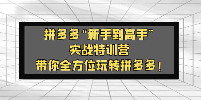 拼多多“新手到高手”实战特训营：带你全方位玩转拼多多-优学网