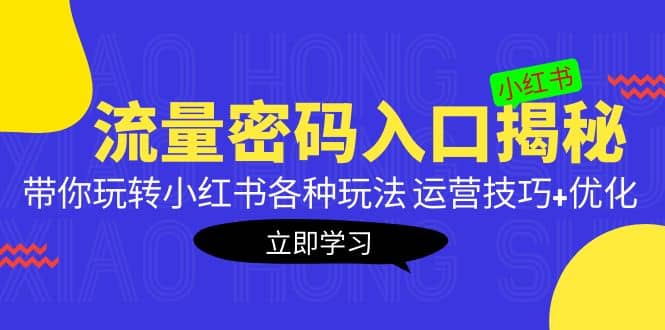 小红书流量密码入口揭秘：带你玩转小红书各种玩法 运营技巧 优化-优学网