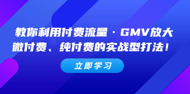 教你利用付费流量·GMV放大，微付费、纯付费的实战型打法-优学网