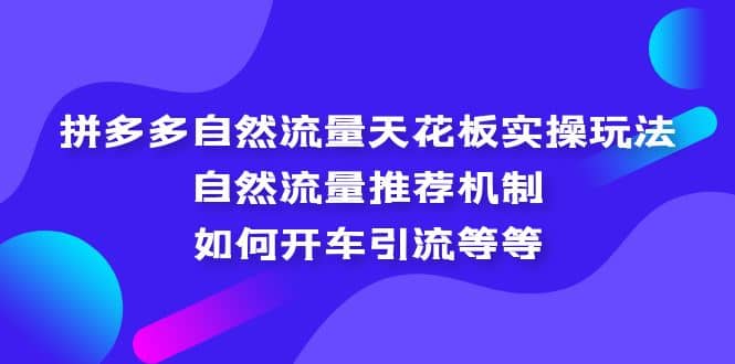 拼多多自然流量天花板实操玩法：自然流量推荐机制，如何开车引流等等-优学网