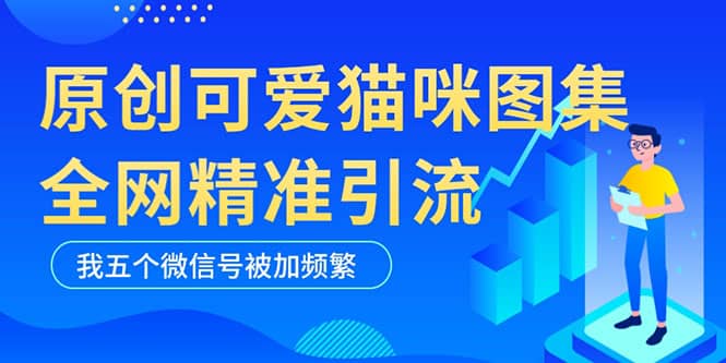 黑科技纯原创可爱猫咪图片，全网精准引流，实操5个VX号被加频繁-优学网