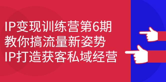 IP变现训练营第6期：教你搞流量新姿势，IP打造获客私域经营-优学网