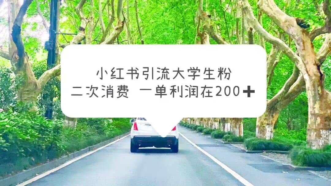 小红书引流大学生粉，变现项目，一单利润在200 （教程 资源）-优学网