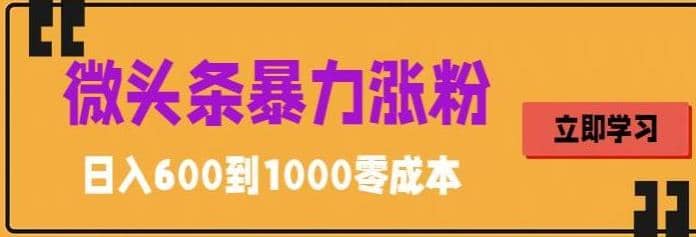 微头条暴力涨粉技巧搬运文案就能涨几万粉丝，简单0成本，日赚600-优学网