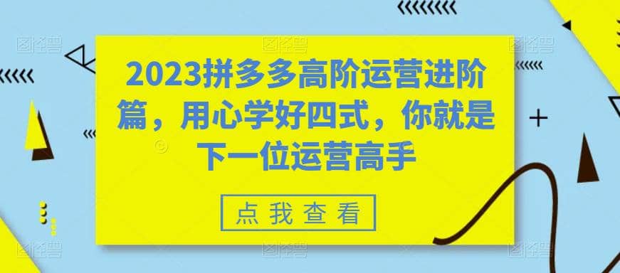 2023拼多多高阶运营进阶篇，用心学好四式，你就是下一位运营高手-优学网