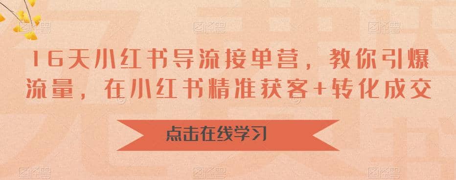 16天-小红书 导流接单营，教你引爆流量，在小红书精准获客 转化成交-优学网