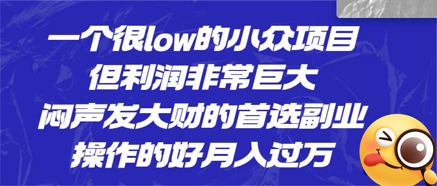 一个很low的小众项目，但利润非常巨大，闷声发大财的首选副业，月入过万-优学网