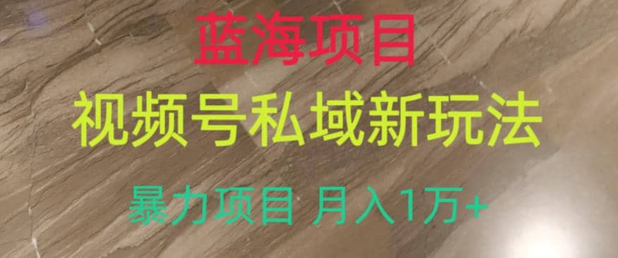 蓝海项目，视频号私域新玩法，暴力项目月入1万 【揭秘】-优学网