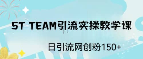 ST TEAM引流实操课，日引流网创粉100-优学网