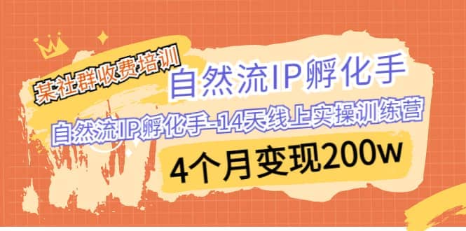 某社群收费培训：自然流IP 孵化手-14天线上实操训练营 4个月变现200w-优学网