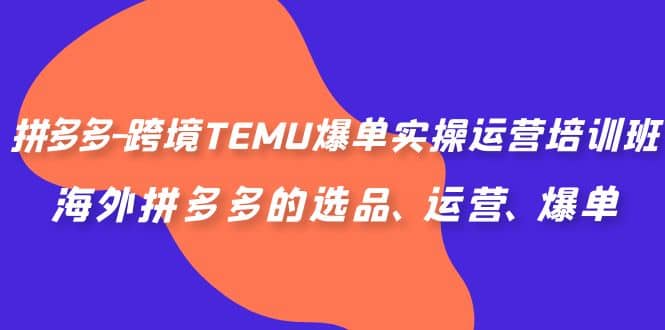 拼多多-跨境TEMU爆单实操运营培训班，海外拼多多的选品、运营、爆单-优学网