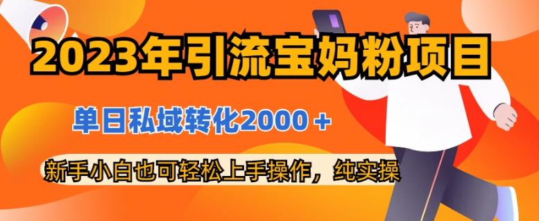 2023年引流宝妈粉项目，单日私域转化2000＋，新手小白也可轻松上手操作，纯实操-优学网