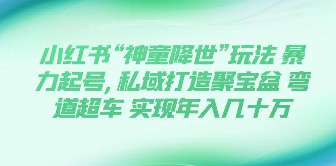 小红书“神童降世”玩法 暴力起号,私域打造聚宝盆 弯道超车 实现年入几十万-优学网